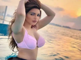 Shama Sikander ने बिना ब्रा पहने लेटकर दिए बोल्ड पोज, तस्वीरें वायरल