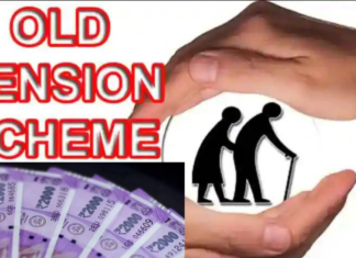 New Pension System : अपनी पत्नी के खाते में हर महीने 5000 रुपये निवेश करें और परिपक्वता पर 1,76,49,569 रुपये पाएं New Pension System : अपनी पत्नी के खाते में हर महीने 5000 रुपये निवेश करें और परिपक्वता पर 1,76,49,569 रुपये पाएं