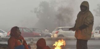 IMD New Alert : राज्य के 41 जिलों में घने कोहरे और कोल्ड डे का रेड अलर्ट, जानिए कब मिलेगी राहत IMD New Alert : राज्य के 41 जिलों में घने कोहरे और कोल्ड डे का रेड अलर्ट, जानिए कब मिलेगी राहत