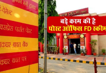 Post Office Term Deposit: ₹1,00,000 पोस्ट ऑफिस FD में लगाएं तो 1, 2, 3, और 5 साल पर कितना मिलेगा रिटर्न?