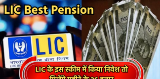 LIC Best Pension: LIC के इस स्कीम में किया निवेश तो मिलेंगे महीने के 26 हजार