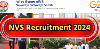 NVS Job Bharti: नवोदय विद्यालय में भरे जाएंगे ये पद, 142000 होगी सैलरी