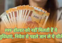 PPF होल्डर को नहीं मिलती हैं ये सुविधाएं, निवेश से पहले जान ले ये चीजें