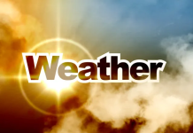 Weather Report: अलर्ट जारी! 4 दिनों तक 50 जिलों में हीट वेव का अलर्ट, जाने अपने शहर का हाल Bihar Weather Update: बिहार में आज पटना समेत 14 जिलों में हीट वेव को लेकर ऑरेंज अलर्ट