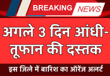 Weather Update: मौसम विभाग ने अगले तीन दिन आंधी और बारिश को लेकर जारी किया येलो अलर्ट