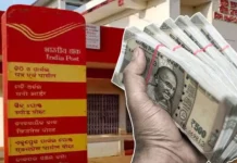 Post Office Scheme : 5,00,000 रुपये के निवेश पर आपको 10,00,000 रुपये का गारंटीड रिटर्न मिलेगा, विवरण यहां देखें Post Office Scheme : 5,00,000 रुपये के निवेश पर आपको 10,00,000 रुपये का गारंटीड रिटर्न मिलेगा, विवरण यहां देखें