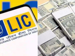 LIC की शानदार स्कीम! एक बार निवेश करें और जीवन भर पाएं 1 लाख रुपये की पेंशन