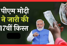 PM किसान सम्मान निधि की 17वीं किस्त हुई जारी, ऐसे चेक करें स्टेटस PM किसान सम्मान निधि की 17वीं किस्त हुई जारी, ऐसे चेक करें स्टेटस