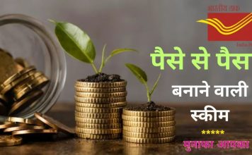 Post Office Scheme! 10,000 निवेश करें और मैच्योरिटी पर पाएं ₹14,490, जानें योजना का विवरण Post Office Scheme! 10,000 निवेश करें और मैच्योरिटी पर पाएं ₹14,490, जानें योजना का विवरण