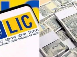 LIC में होगा पैसा डबल, एक बार देना होगा प्रीमियम, जाने कैसे करें निवेश