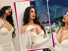 Disha Patani ने शेयर की ग्लैमरस तस्वीरें, हॉट लुक ने बढ़ाया इंटरनेट का तापमान