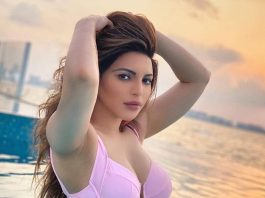 Shama Sikander ने बिना ब्रा पहने लेटकर दिए बोल्ड पोज, तस्वीरें वायरल