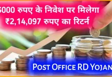 Post Office RD Scheme: ₹3,000 रूपए जमा करने पर मिलेंगे 2 लाख 14 हजार 097 रुपये, जाने पूरी जानकारी Post Office RD Scheme: ₹3,000 रूपए जमा करने पर मिलेंगे 2 लाख 14 हजार 097 रुपये, जाने पूरी जानकारी