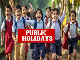 Public Holiday :12 नवंबर को सार्वजनिक अवकाश हुआ घोषित, बंद रहेंगे सभी स्कूल, कॉलेज और सरकारी कार्यालय