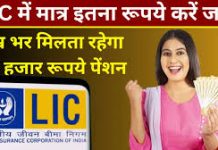 LIC Saral Pension Plan: हर महीने ₹12,000 की पेंशन मिलेगी LIC की इस स्कीम में, यहाँ देखें स्कीम डिटेल्स LIC Saral Pension Plan: हर महीने ₹12,000 की पेंशन मिलेगी LIC की इस स्कीम में, यहाँ देखें स्कीम डिटेल्स