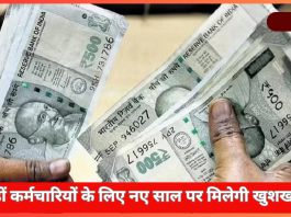 Dearness Allowance Hike : करोड़ों कर्मचारियों के लिए नए साल पर मिलेगी खुशखबरी! फिर बढ़ेगी सैलरी, इतना बढ़ जायेंगा DA