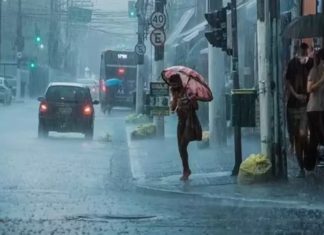 Heavy Rains Alert : चक्रवाती तूफान आने के आसार, इन राज्यों में आंधी-तूफान और बारिश का अलर्ट Rainfall High Alert : इन राज्यों में बारिश को लेकर नया अलर्ट, अगले 7 दिनों के लिए चेतावनी जारी