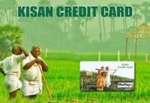 Kisan Credit Card क्या है, कितना मिलता है कर्ज और कैसे उठाएं फायदा? जानिए यहां Kisan Credit Card क्या है, कितना मिलता है कर्ज और कैसे उठाएं फायदा? जानिए यहां