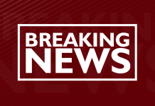 Bihar Chief Minister Nitish Kumar to chair last Cabinet meeting on April 8 – Deccan Herald