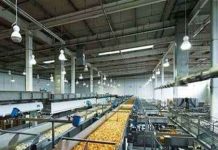 बिहार के किसानों और उद्यमियों के लिए जल्द ही बिहार खाद्य प्रसंस्करण नीति लागू होगी, जानें क्या होगा लाभ बिहार के किसानों और उद्यमियों के लिए जल्द ही बिहार खाद्य प्रसंस्करण नीति लागू होगी, जानें क्या होगा लाभ