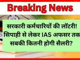 सरकारी कर्मचारियों की लॉटरी! सिपाही से लेकर IAS अफसर तक सबकी कितनी होगी सैलरी? एक क्लिक में जानें गणित