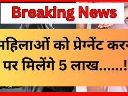 Bihar Breaking News! महिलाओं को प्रेग्नेंट करने पर मिलेंगे 5 लाख', चर्चा में बिहार का अनोखा जॉब ऑफर