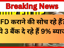 High-Interest FD Banks : FD कराने की सोच रहे हैं? ये 3 बैंक दे रहे हैं 9% ब्याज, देखें कितना मिलेगा मुनाफा