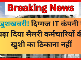 Infosys Salary Hike : खुशखबरी! दिग्गज IT कंपनी ने बढ़ा दिया सैलरी कर्मचारियों की खुशी का ठिकाना नहीं