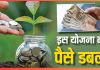 Investment Plan : शुरू करें इस योजना में निवेश, इतने समय में पैसा हो जाएगा दोगुना Investment Plan : शुरू करें इस योजना में निवेश, इतने समय में पैसा हो जाएगा दोगुना
