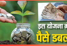 Investment Plan : शुरू करें इस योजना में निवेश, इतने समय में पैसा हो जाएगा दोगुना Investment Plan : शुरू करें इस योजना में निवेश, इतने समय में पैसा हो जाएगा दोगुना