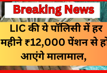 LIC की ये पॉलिसी मानी जाती है सुपर, हर महीने ₹12,000 पेंशन से हो आएंगे मालामाल, जाने पूरी डिटेल्स LIC की ये पॉलिसी मानी जाती है सुपर, हर महीने ₹12,000 पेंशन से हो आएंगे मालामाल, जाने पूरी डिटेल्स