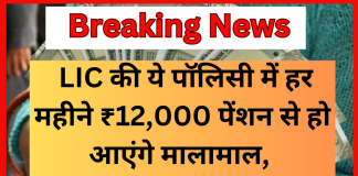 LIC की ये पॉलिसी मानी जाती है सुपर, हर महीने ₹12,000 पेंशन से हो आएंगे मालामाल, जाने पूरी डिटेल्स LIC की ये पॉलिसी मानी जाती है सुपर, हर महीने ₹12,000 पेंशन से हो आएंगे मालामाल, जाने पूरी डिटेल्स