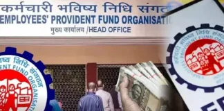 PF Updates : करोड़ों PF खाताधारकों के लिए खुशखबरी, अब मिलेंगे 5 बड़े फायदे, फटाफट चेक करे PF Fixed Interest Rate : PF के 7 करोड़ खाताधारकों के लिए खुशखबरी, मिलेगा फिक्स ब्याज, यहाँ आने डिटेल्स में