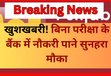 PNB Recruitment 2025 : बिना परीक्षा के बैंक में नौकरी पाने सुनहरा मौका! 64,480 रुपये वेतन, सीधा लिंक से करे अप्लाई PNB Recruitment 2025 : बिना परीक्षा के बैंक में नौकरी पाने सुनहरा मौका! 64,480 रुपये वेतन, सीधा लिंक से करे अप्लाई