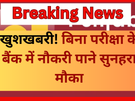 PNB Recruitment 2025 : बिना परीक्षा के बैंक में नौकरी पाने सुनहरा मौका! 64,480 रुपये वेतन, सीधा लिंक से करे अप्लाई