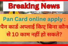 Pan Card online apply : पैन कार्ड अप्लाई किए बिना कौन से 10 काम नहीं हो सकते? Pan Card online apply : पैन कार्ड अप्लाई किए बिना कौन से 10 काम नहीं हो सकते?