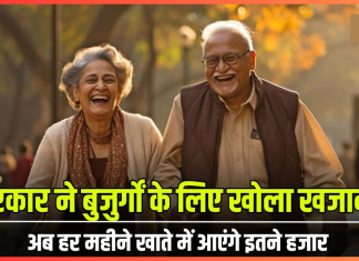 Pension Yojana : सरकार ने किया बड़ा ऐलान, इन बुजुर्गों को हर महीने मिलेंगे 3500 रुपये, फटाफट विवरण चेक करे Pension Yojana : सरकार ने किया बड़ा ऐलान, इन बुजुर्गों को हर महीने मिलेंगे 3500 रुपये, फटाफट विवरण चेक करे