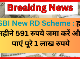 SBI New RD Scheme : हर महीने 591 रुपये जमा करें और पाएं पूरे 1 लाख रुपये, यहां जानें RD की जानकारी