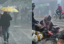 Bihar Weather Report: बिहार का मौसम, सुबह कोहरा, दिन में धूप, रात में कनकनी, जानें अपने जिले का हाल Bihar Weather Report: बिहार का मौसम, सुबह कोहरा, दिन में धूप, रात में कनकनी, जानें अपने जिले का हाल