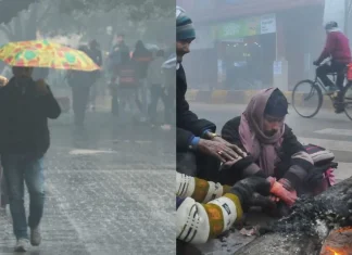 Bihar Weather Report: बिहार का मौसम, सुबह कोहरा, दिन में धूप, रात में कनकनी, जानें अपने जिले का हाल Bihar Weather Report: बिहार का मौसम, सुबह कोहरा, दिन में धूप, रात में कनकनी, जानें अपने जिले का हाल