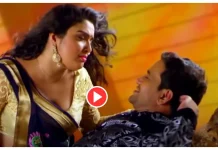 Bhojpuri Industry: In the beautiful weather of Saavan, the pair of Nirhua and Amrapali set the stage on fire, new song goes viral Bhojpuri Industry: In the beautiful weather of Saavan, the pair of Nirhua and Amrapali set the stage on fire, new song goes viral