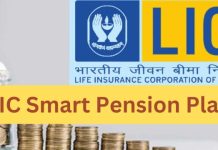 LIC के इस योजना में एक बार पैसा लगाएं, जीवनभर मिलेगी 12000 रुपये की पेंशन LIC के इस योजना में एक बार पैसा लगाएं, जीवनभर मिलेगी 12000 रुपये की पेंशन