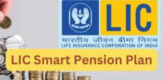 LIC के इस योजना में एक बार पैसा लगाएं, जीवनभर मिलेगी 12000 रुपये की पेंशन LIC के इस योजना में एक बार पैसा लगाएं, जीवनभर मिलेगी 12000 रुपये की पेंशन