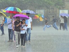 IMD Rain Alert : अगले कुछ घंटों में राज्य के इन जिलों में होगी भारी बारिश