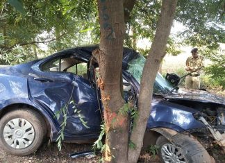 Jamui Road Accident: नींद की झपकी आने से पेड़ से टकराई तेज रफ्तार कार, दुल्हे के 3 दोस्तों की दर्दनाक मौत Jamui Road Accident: नींद की झपकी आने से पेड़ से टकराई तेज रफ्तार कार, दुल्हे के 3 दोस्तों की दर्दनाक मौत