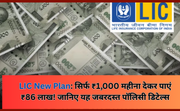 LIC New Scheme : LIC की इस पॉलिसी में सिर्फ ₹1,000 प्रति माह जमा करके आप ₹86 लाख के मालिक बन जाएंगे। LIC New Scheme : LIC की इस पॉलिसी में सिर्फ ₹1,000 प्रति माह जमा करके आप ₹86 लाख के मालिक बन जाएंगे।