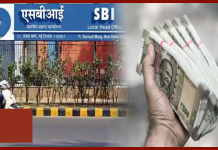SBI FD Scheme : SBI में सिर्फ 1 लाख रुपये जमा करें और 24,604 रुपये का निश्चित ब्याज पाएं SBI FD Scheme : SBI में सिर्फ 1 लाख रुपये जमा करें और 24,604 रुपये का निश्चित ब्याज पाएं