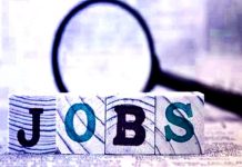 सरकारी नौकरी का बड़ा मौका, सैलरी होगी 75 हजार रुपए, कैसे और कहां करें आवेदन? जाने डिटेल्स सरकारी नौकरी का बड़ा मौका, सैलरी होगी 75 हजार रुपए, कैसे और कहां करें आवेदन? जाने डिटेल्स