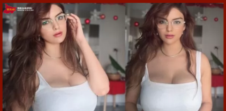 Actress Anveshi Jain ने कैमरे के सामने किया ऐसा काम, देख कर आप भी सर्म से…….! Actress Anveshi Jain ने कैमरे के सामने किया ऐसा काम, देख कर आप भी सर्म से.......!