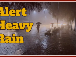 Heavy Rain Alert : अगले 48 घंटों में भारी से बहुत भारी बारिश, 95 KM तक की स्पीड से चलेंगी हवाएं, चेक डिटेल्स
